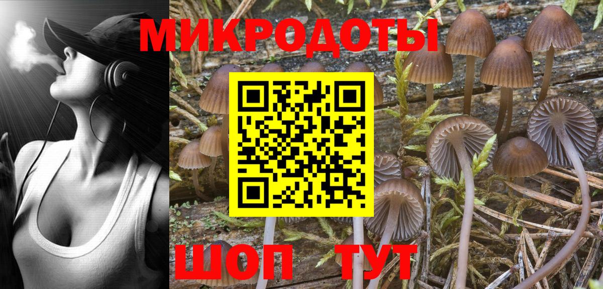 Всеволожск  Псилоцибиновые грибы Psilocybe  хочу   Вход с VPN  Галлюциногенные грибы Psilocybe 