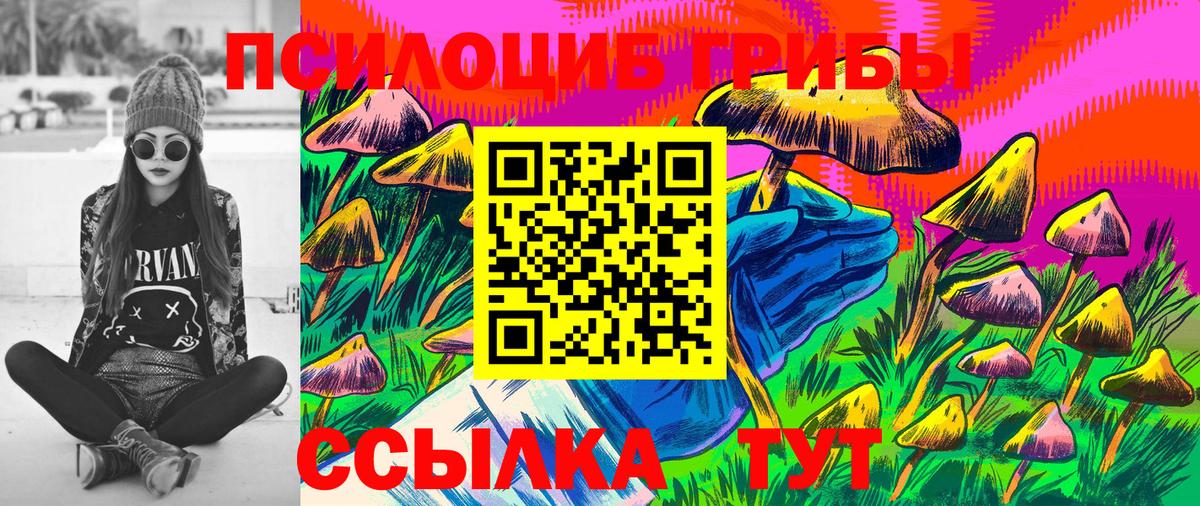 Галлюциногенные грибы Cubensis Всеволожск